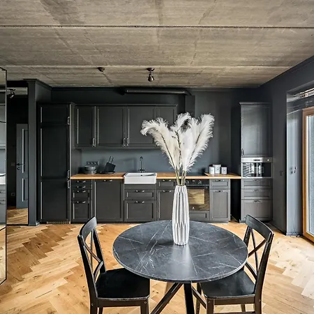 Center Panoramic Penthouse With Rooftop Terrace - Self Check-in * 维尔纽斯